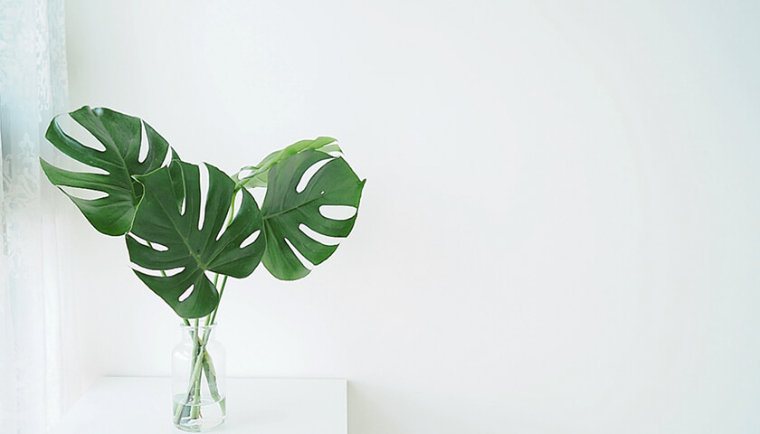 �οͤ����Ǥ˴������������԰¡�������ξɾ��伣��ˡ�ʤɤ��Τꤿ��