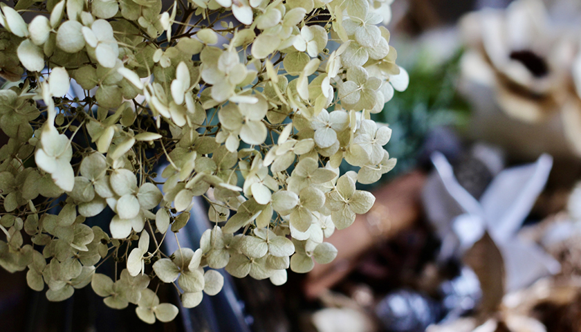 �����إ�ڥ��ˤʤꡢ���Ӥ줬�Ĥä����Ӿ��׿��Τ褦�˸��ɤ����롩