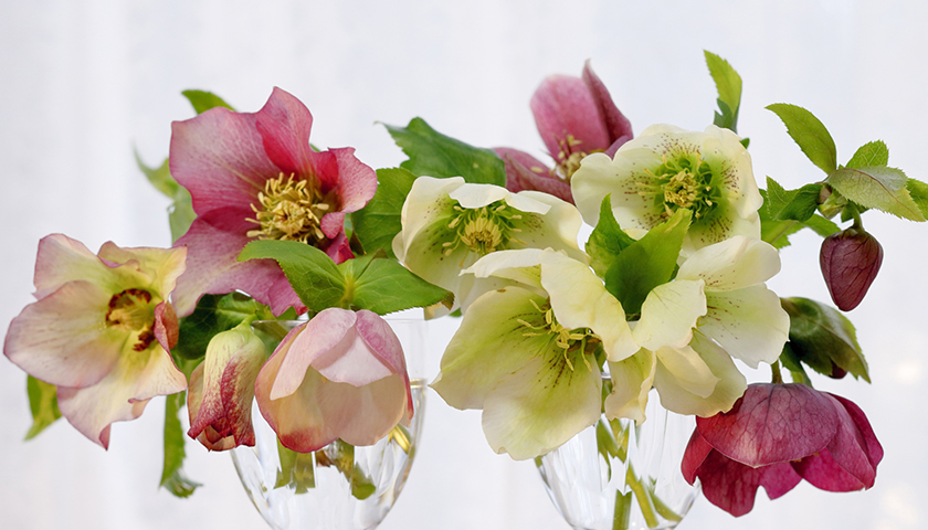 ���˹��Τ����ͤ�籸��¥��졼������ˡ����Ū�ʸ�����ɬ�ס�