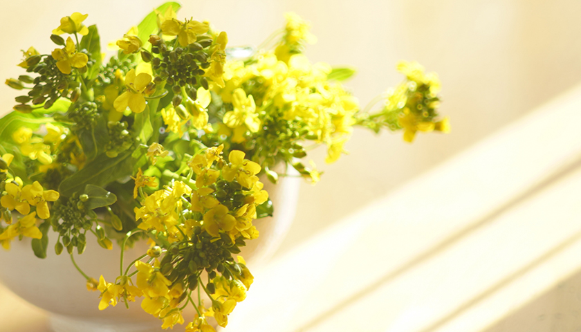 �����ξɾ�����߿�ƻ��ή�ɤ�Ƚ���������Ȱ߿�ƻ��ή�ɤδط����Τꤿ��