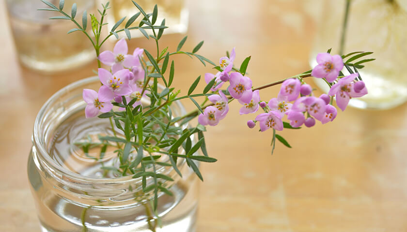 19�Ф�̼���ֿ�������Ƥ󤫤���ȯ��פȿ��ǡ�ȯ��򸺤餹����ˤ褤��ˡ�Ϥ��롩